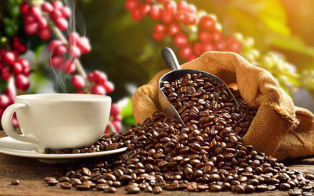 Le Japon augmente ses importations de café vietnamien